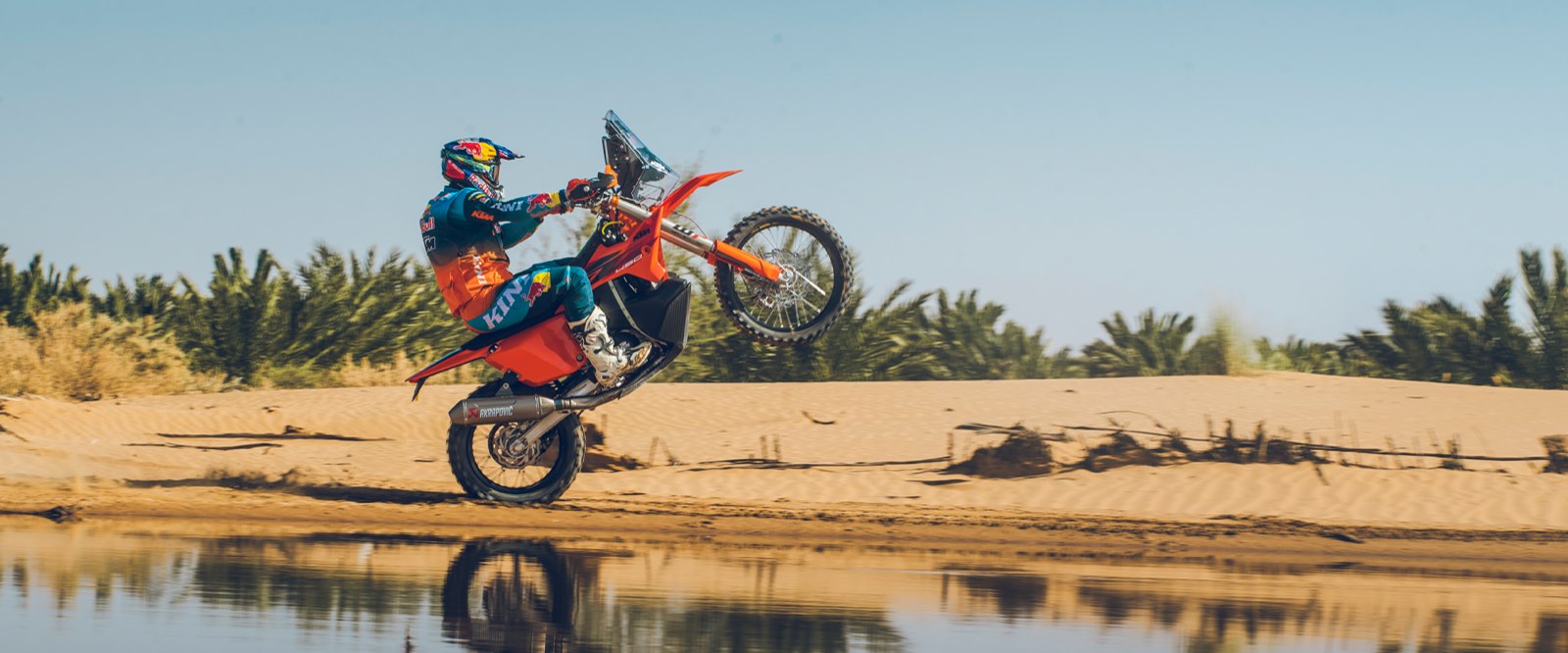 A Rally Replica rider wheelies along the edge of a desert oasis