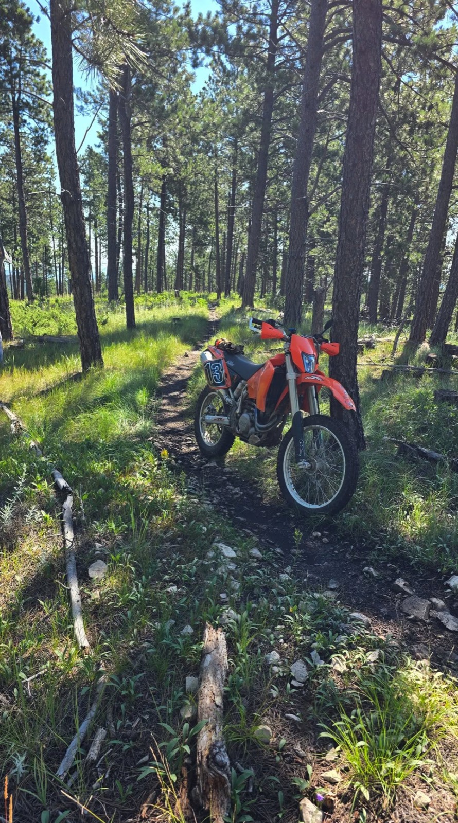 An orange KTM with a number 13 plate on a pine-forest singletrack