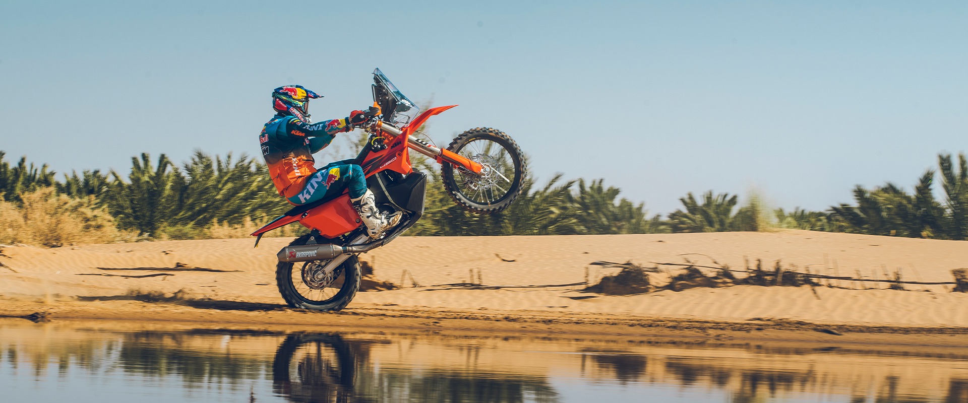 A KTM rider wheelies along the edge of a desert oasis